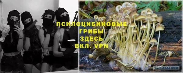 МДМА Алексеевка