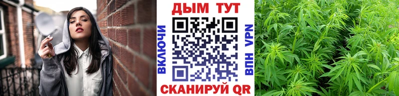 Бошки Шишки конопля  Купить где  Белогорск 
